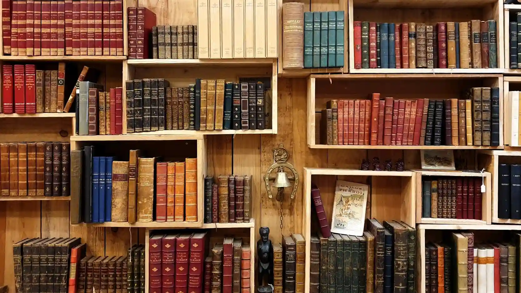 A well-stocked library at L&T Island Cove with wooden bookshelves filled with an extensive collection of books, showcasing the thoughtful amenities provided for residents.